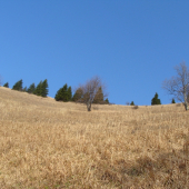 Úplaz v masíve Lysca   Veľká Fatra