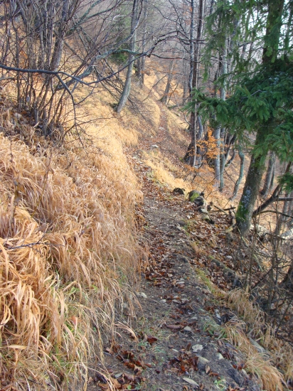 Poľovnícky chodník  vysoko v horách
