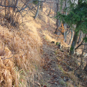 Poľovnícky chodník  vysoko v horách