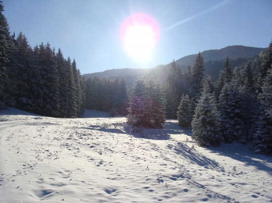 Belianska dolina Veľká Fatra
