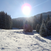 Belianska dolina Veľká Fatra
