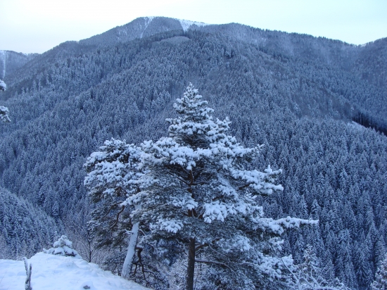 Belianska dolina v pozadí masív Borišova Veľká Fatra