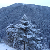 Belianska dolina v pozadí masív Borišova Veľká Fatra