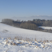 Na konci nášho poľného revíru