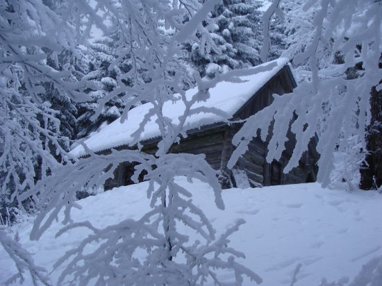 Poľovnícky zrub  vo fatranskej divočine