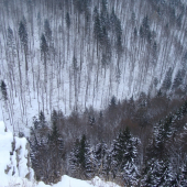 už  len krídla a lietam