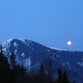 čakanie na tok hlucháňa