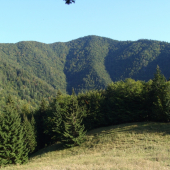 Pohľad z posedu na horskej poľane