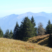 Krivánska Malá Fatra pohľad z hrebeňa Martinských hôľ