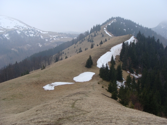 Sklabinská hoľa   Veľká Fatra