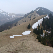 Sklabinská hoľa   Veľká Fatra