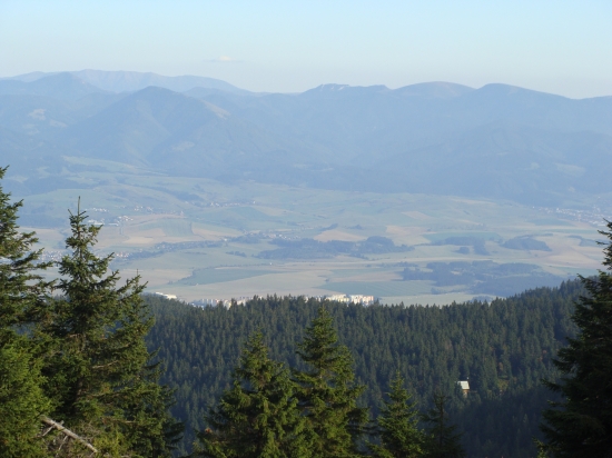 Veľká Fatra z Martinských holí
