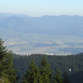 Veľká Fatra z Martinských holí