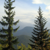 North teritorium Slovakia  Borišov