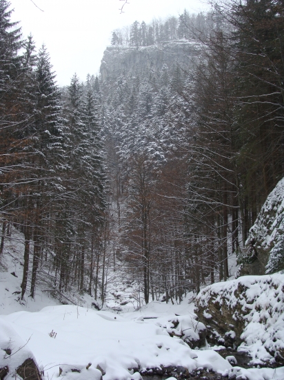 Belianska dolina Veľká Fatra