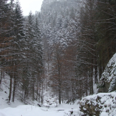 Belianska dolina Veľká Fatra