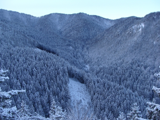 Belianska dolina Veľká Fatra