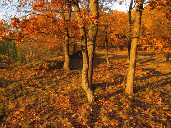 Oktober 2012