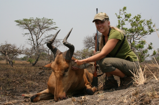 Lichtenstein hartebeest