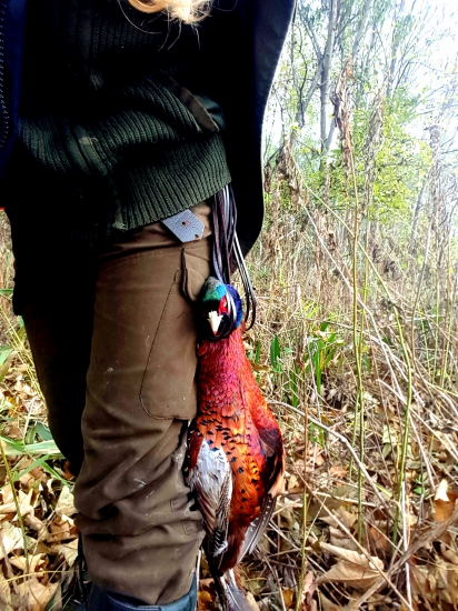 Zo spoločnej poľovačky