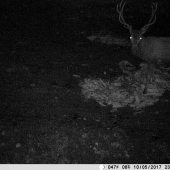 Počas ruje a stále sám