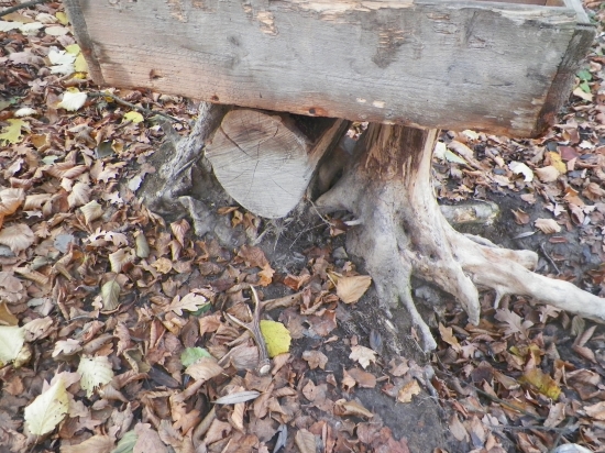 Za starostlivosť odmena