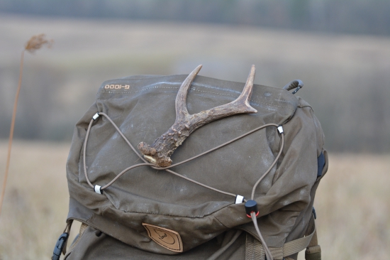 Čerstvý 6toráčik