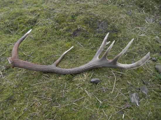 Výborne začatá sezóna