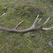 Výborne začatá sezóna