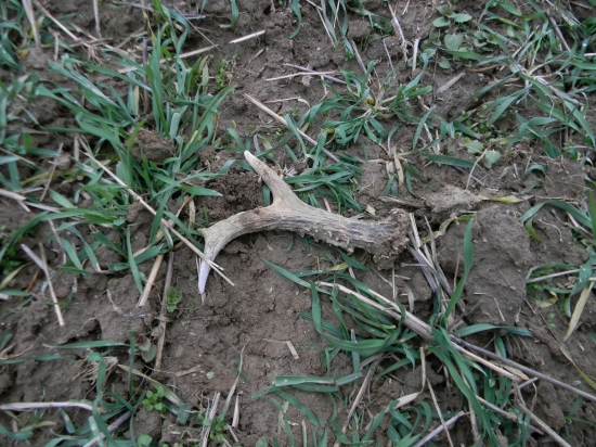 Malý, ale potešil..