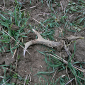 Malý, ale potešil..