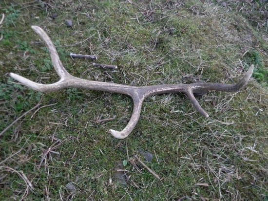 Keď sa darí tak sa darí