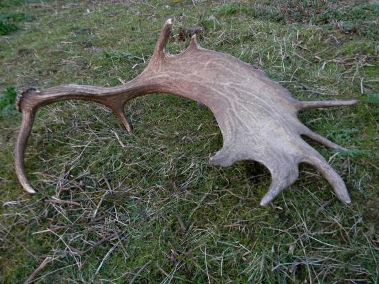 Moja prvá lopata v živote.