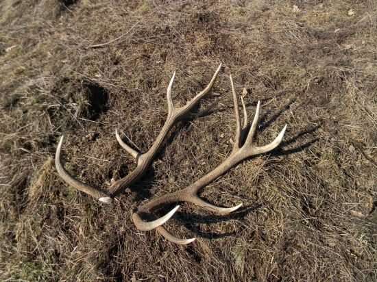 Znovu, výborný začiatok