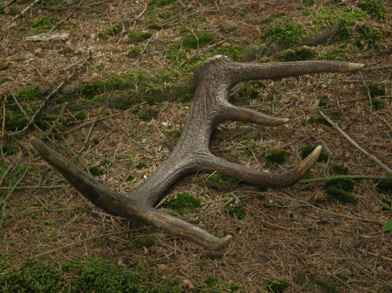 ...ještě jeden nedělní