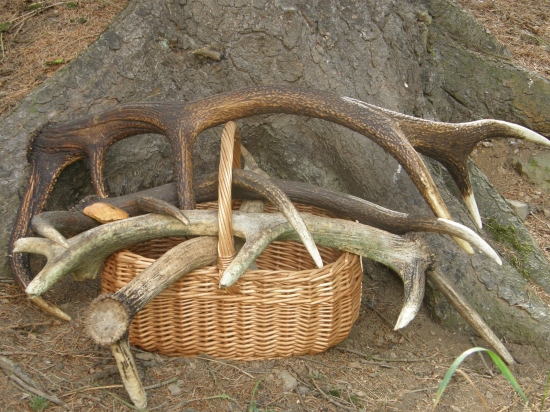 ...asi malý košík :-)