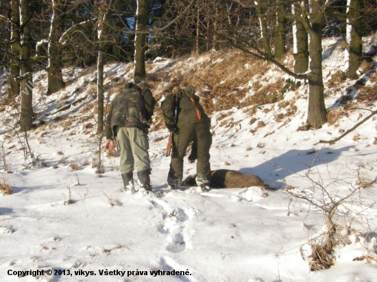dobrá rána