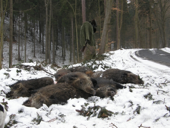 když se je podařilo dostat konečně k cestě