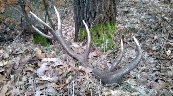 dnešný úspech 2,7kg