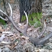 dnešný úspech 2,7kg