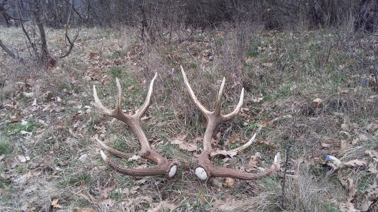 zadarilo sa...čerstvý pár