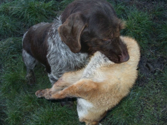 Aida ma zasebou aport.......