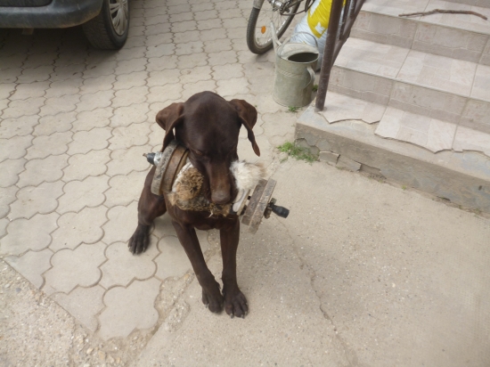 Samu ma zasebou APORT