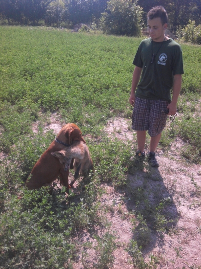 dnešny trening s liškou