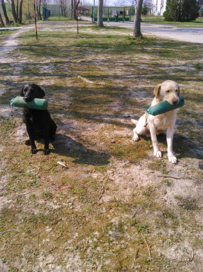 Trénujeme a trénujeme