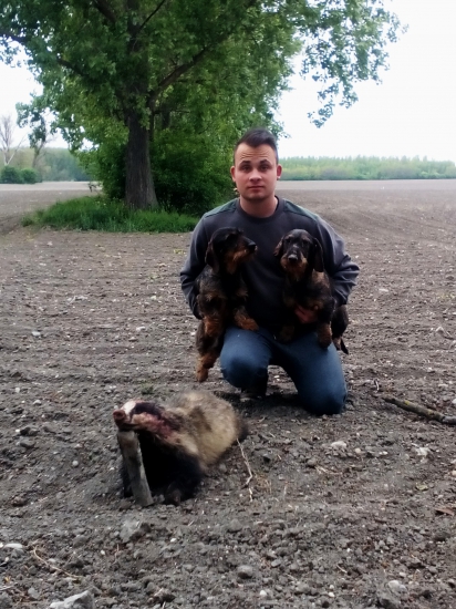 Norovanie na Jazveca -Madarsko