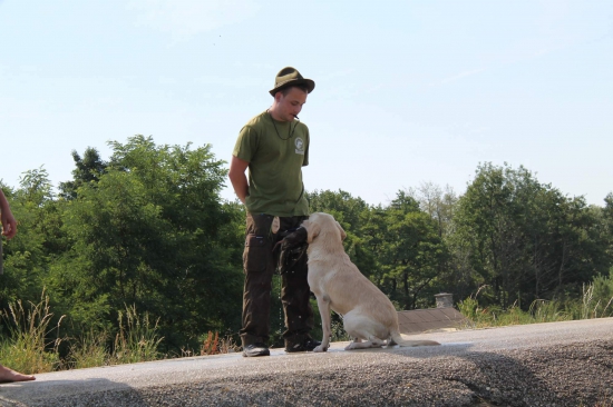 Medzinarodne specialne skusky z vodney prace retrievrov.