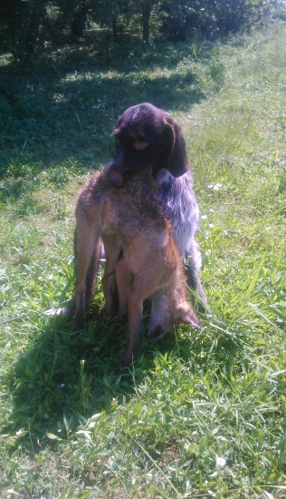 Prvá radosť z úspesneho výcviku