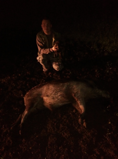 Úspesná dohladavka