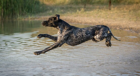 Ochota pracovat v hlbokej vode